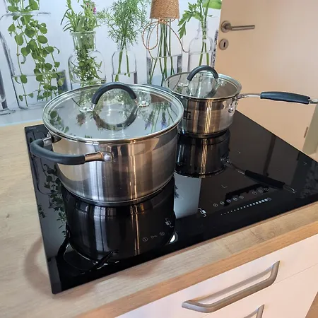 Appartement Noma Studio-apartment Altkoetzschenbroda